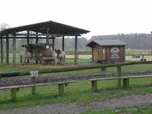 CTF-Seefeld 2008 093